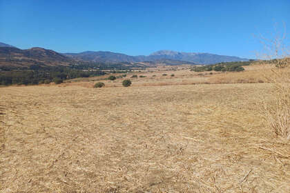 情节 出售 进入 Coín, Málaga. 