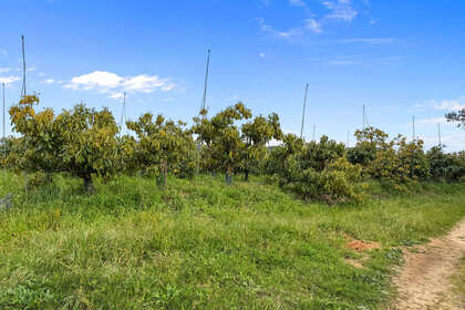 联排别墅 出售 进入 Sotogrande, Cádiz. 