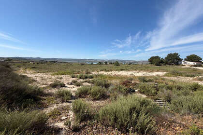 Grundstück/Finca zu verkaufen in Torremendo, Orihuela, Alicante. 