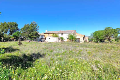 Ranch for sale in Yecla, Murcia. 