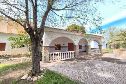 Ranch for sale in Yecla, Murcia. 