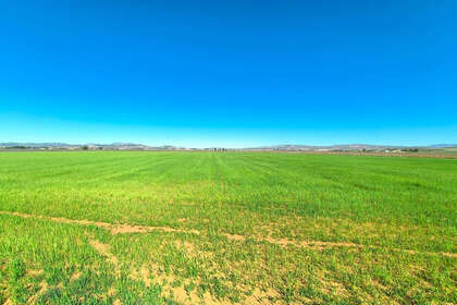 Plot for sale in Yecla, Murcia. 