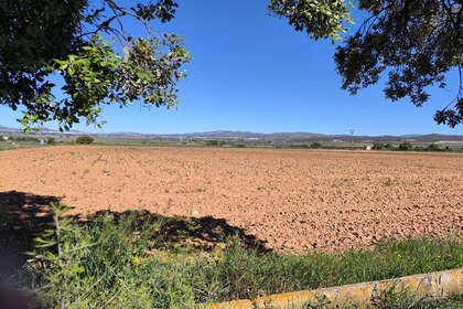 Plot for sale in Yecla, Murcia. 