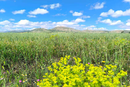 Участок Продажа в Yecla, Murcia. 