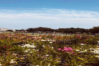 Апартаменты Продажа в Sotogrande, Cádiz. 