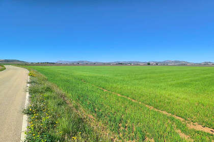 Участок Продажа в Yecla, Murcia. 