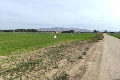 Grundstück/Finca zu verkaufen in Villena, Alicante. 