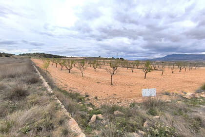 Участок Продажа в Pinoso, Alicante. 