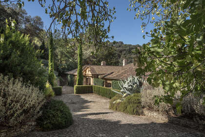Ranch for sale in Ronda, Málaga. 