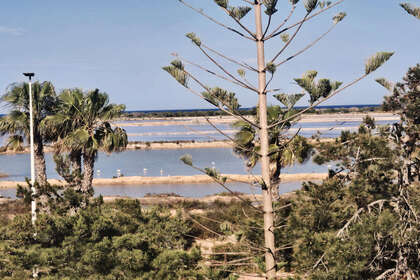 Huizen verkoop in Pagan, Lo, Murcia. 