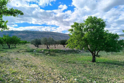 Parcelle/Propriété vendre en Caudete, Albacete. 