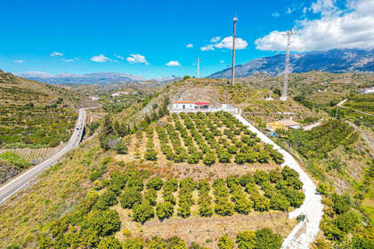 Cluster house for sale in Viñuela, Málaga. 