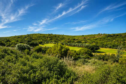 Plot for sale in Casares, Málaga. 