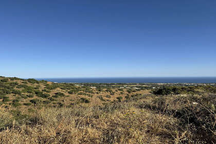 Plot for sale in Sierra Blanca, Marbella, Málaga. 