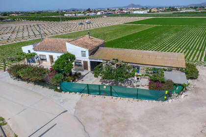 Ranch for sale in Orihuela, Alicante. 