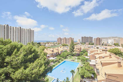 Apartment zu verkaufen in Alicante/Alacant. 