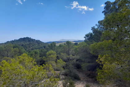 Parcela/Finca venta en Chirles, Alicante. 