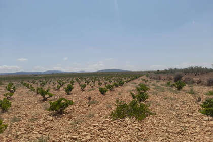 Percelen/boerderijen verkoop in Pinoso, Alicante. 