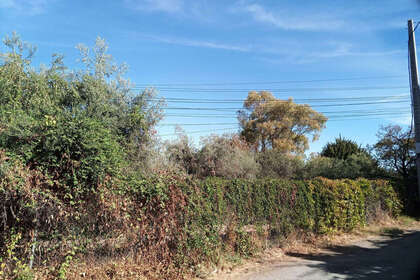 Участок Продажа в Alhaurín el Grande, Málaga. 