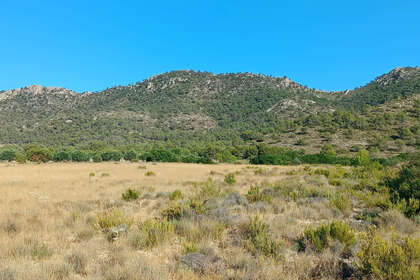Участок Продажа в Yecla, Murcia. 