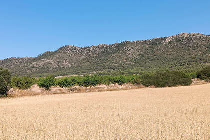 Участок Продажа в Yecla, Murcia. 