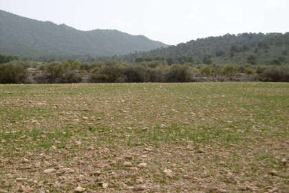 Участок Продажа в Yecla, Murcia. 