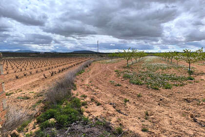 Plot for sale in Pinoso, Alicante. 