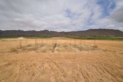Plot for sale in Yecla, Murcia. 