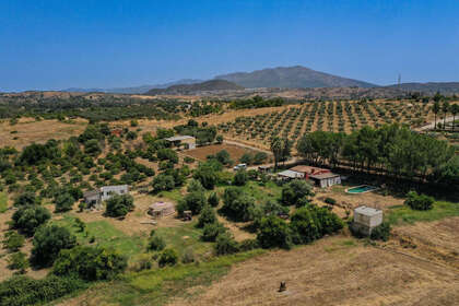 Ранчо Продажа в Coín, Málaga. 