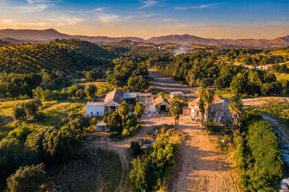 Plot for sale in Estepona, Málaga. 