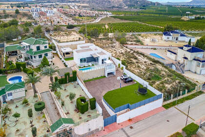 Cluster house for sale in Algorfa, Alicante. 