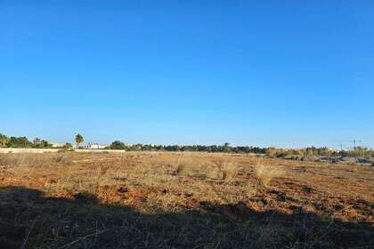 Plot for sale in Poblets (els), Alicante. 