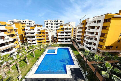 Apprt dernier Etage vendre en Punta Prima, Alicante. 