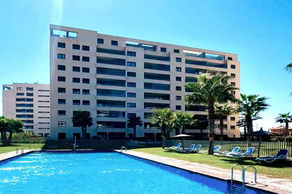 Apprt dernier Etage vendre en Punta Prima, Alicante. 