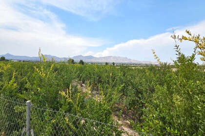 情节 出售 进入 San Isidro (Alicante/Alacant). 