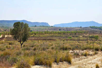 情节 出售 进入 San Miguel de Salinas, Alicante. 