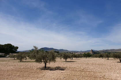 情节 出售 进入 Sax, Alicante. 