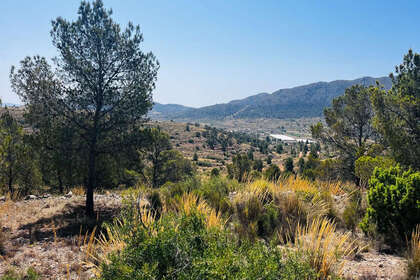 Plot for sale in Romana (la), Alicante. 