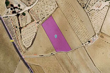 Участок Продажа в Pinoso, Alicante. 
