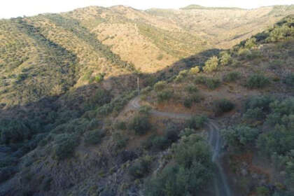 Enredo venda em Málaga. 