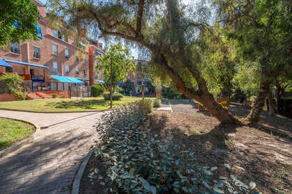 Apartment for sale in Málaga. 