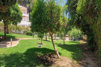 jardim comunitário