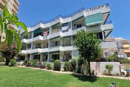 jardim comunitário