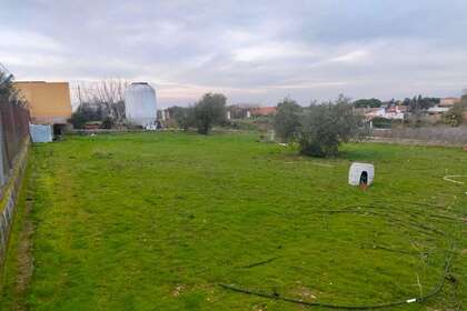 Plot for sale in Almendralejo, Badajoz. 