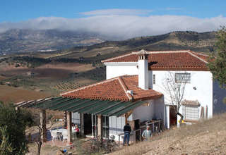 Farmy na prodej v Almogía, Málaga. 