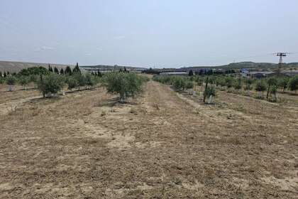 Rural/Agricultural land for sale in Bailén, Jaén. 