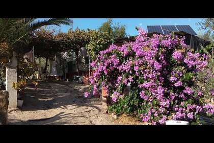 Rural/Agricultural land for sale in Bailén, Jaén. 