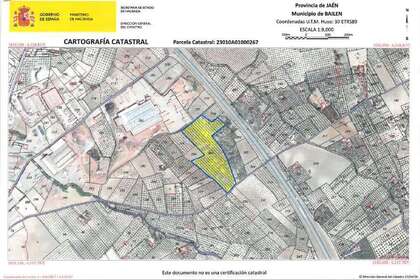 Rural/Agricultural land for sale in Casa Medina., Bailén, Jaén. 