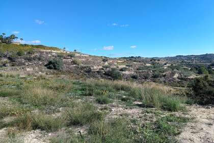 Rural/Agricultural land for sale in Benissa, Alicante. 