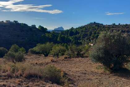 Landdistrikter / landbrugsjord til salg i Benissa, Alicante. 